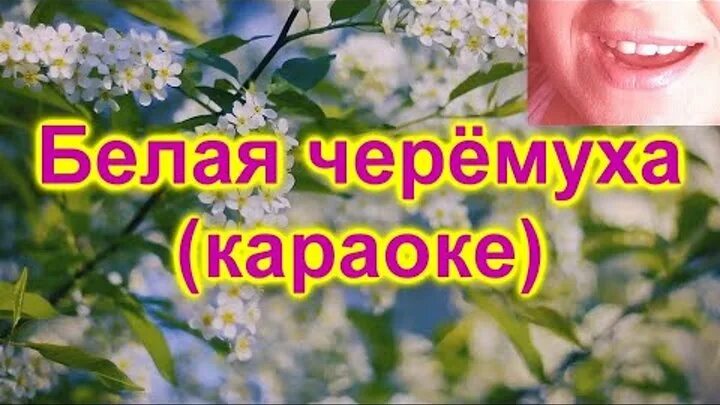Караоке песня белая черемуха. Караоке песня белая черемуха. Караоке песня белая черемуха. Фотосессия в черемухе идеи. Караоке песня белая черемуха.