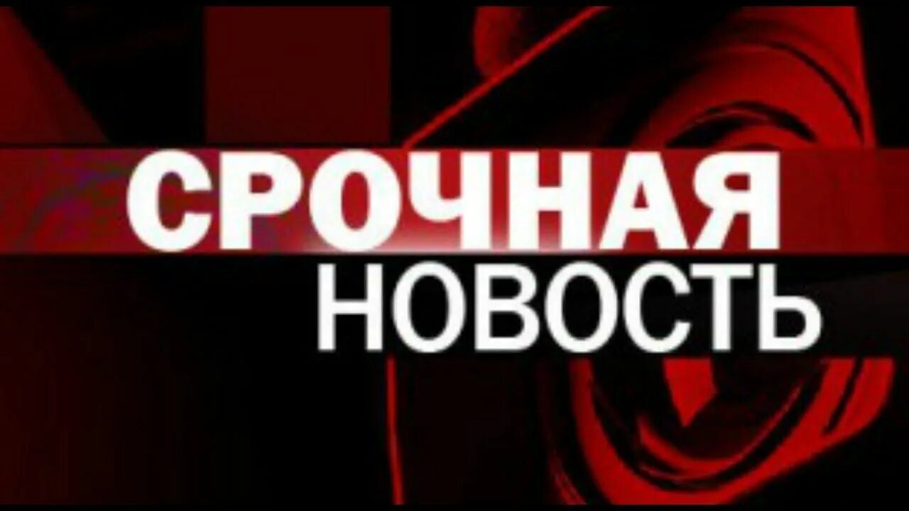 Песня сенсация текст. Сенсация картинка. Сенсация надпись. Сенсация надпись. Сенсация надпись.