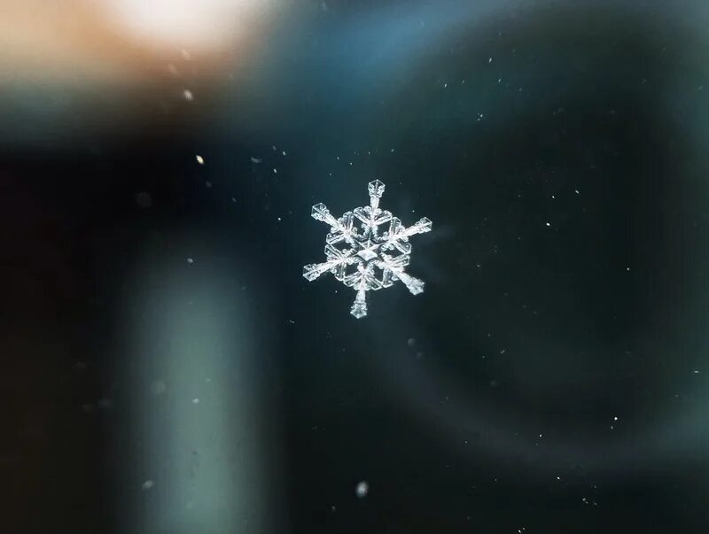 грустная снежинка. обои снежинки. снежинка котик. снежинки картинки. зима снежинки.