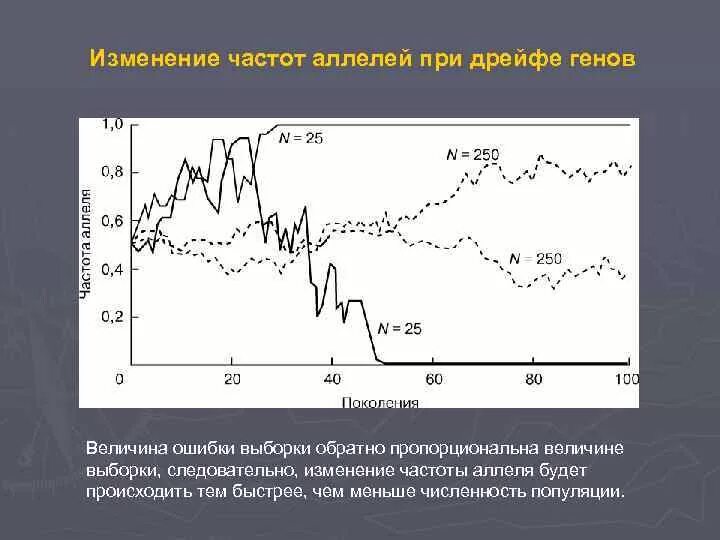 График изменения частот аллелей. Случайные изменения частот аллелей популяций. Изменение частот аллелей в популяции. Частота аллелей.