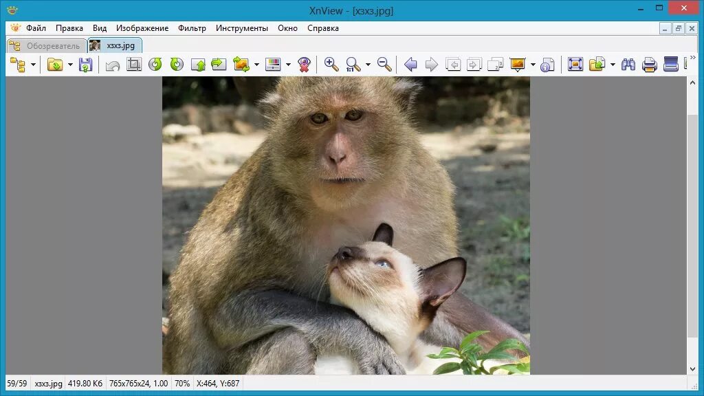 Xnviewer