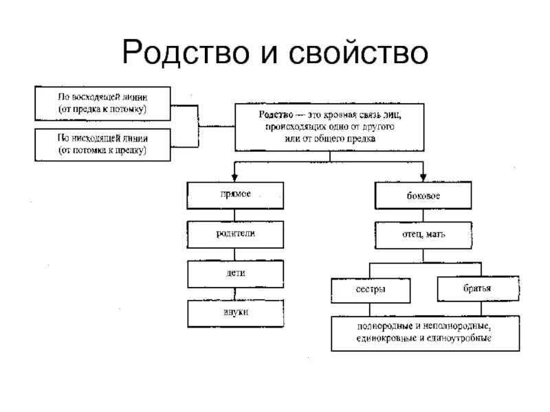 Понятие родства и свойства в семейном праве. Схема родства и свойства. Схема родство и свойство в семейном праве. Схема кровного родства.