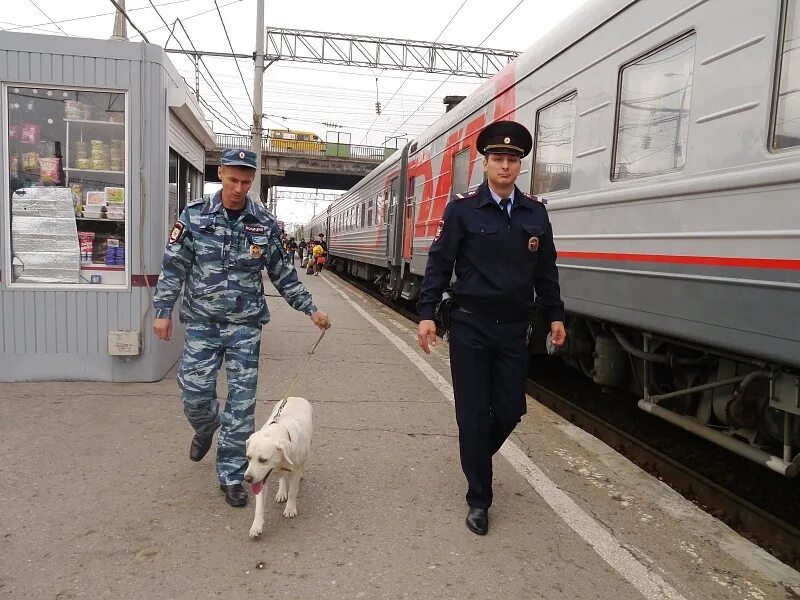 Дел российской федерации на транспорте. Транспортная полиция. Полиция на транспорте. ППС транспортной полиции. Полиция на Железнодорожном транспорте.