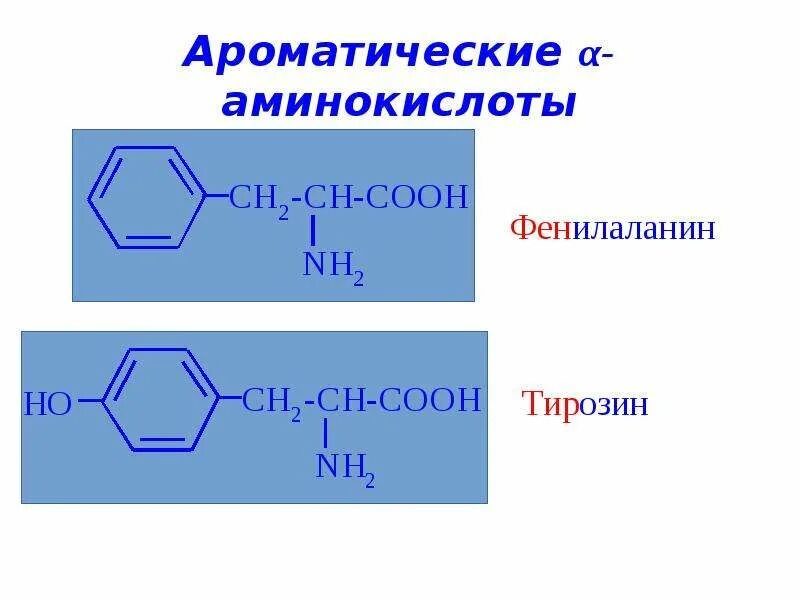 Полярные и неполярные аминокислоты. Ароматическая неполярная аминокислота. ароматические аминокислоты. биологическая роль пептидов.