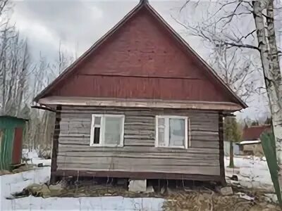 Погода посадников остров киришский 10 дней