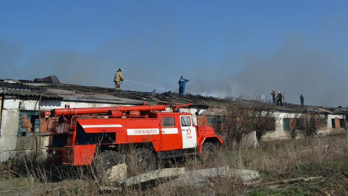 Погода в борце сараевского района рязанской области. Село Кривское Сараевский район. Село Кривское Сараевского Рязанской. Село напольное Сараевского района Рязанской области. Озерки Сараевский район Рязанская область.