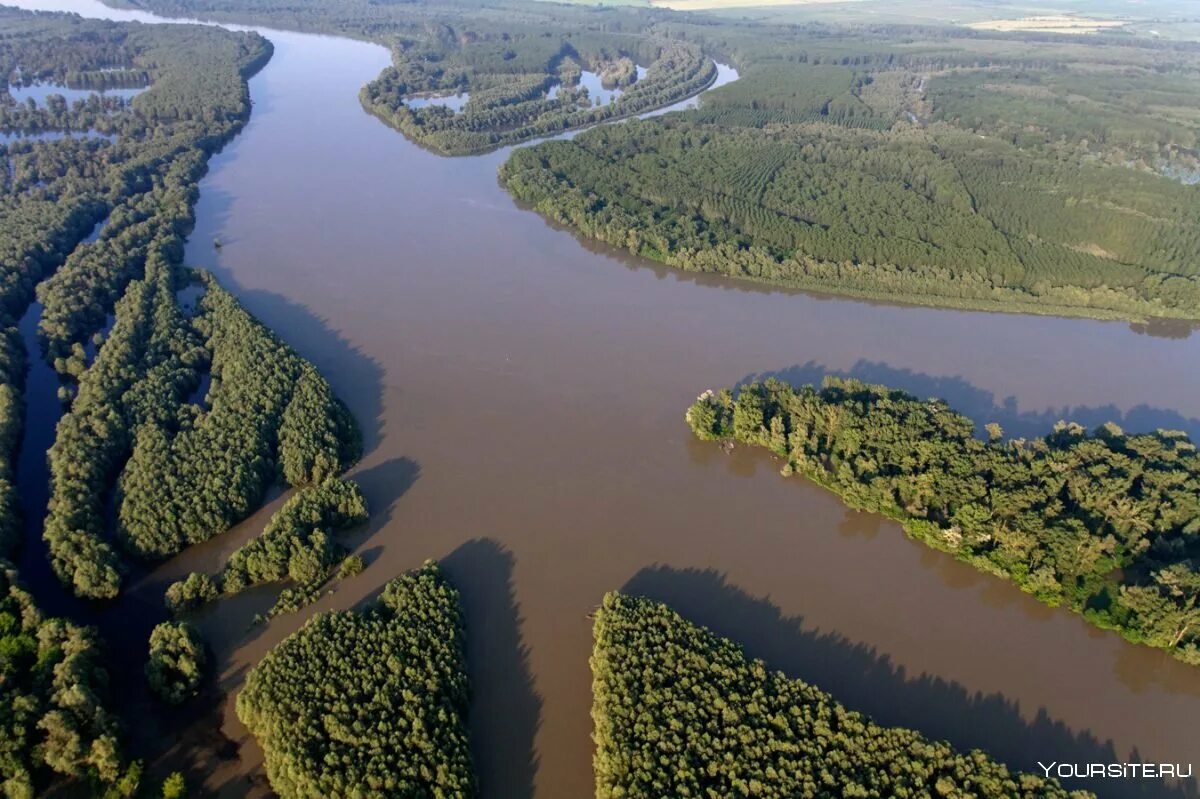Амазонка какое устье. Дельта реки Дунай. Устье реки Амазонка. Дельта Дуная Румыния. Устье реки Дунай.