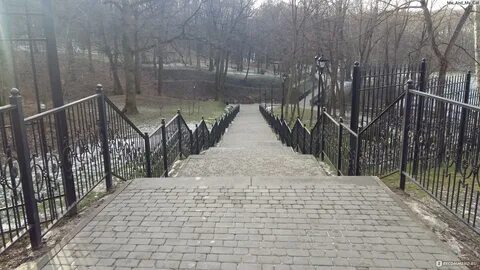 Платон парк тула