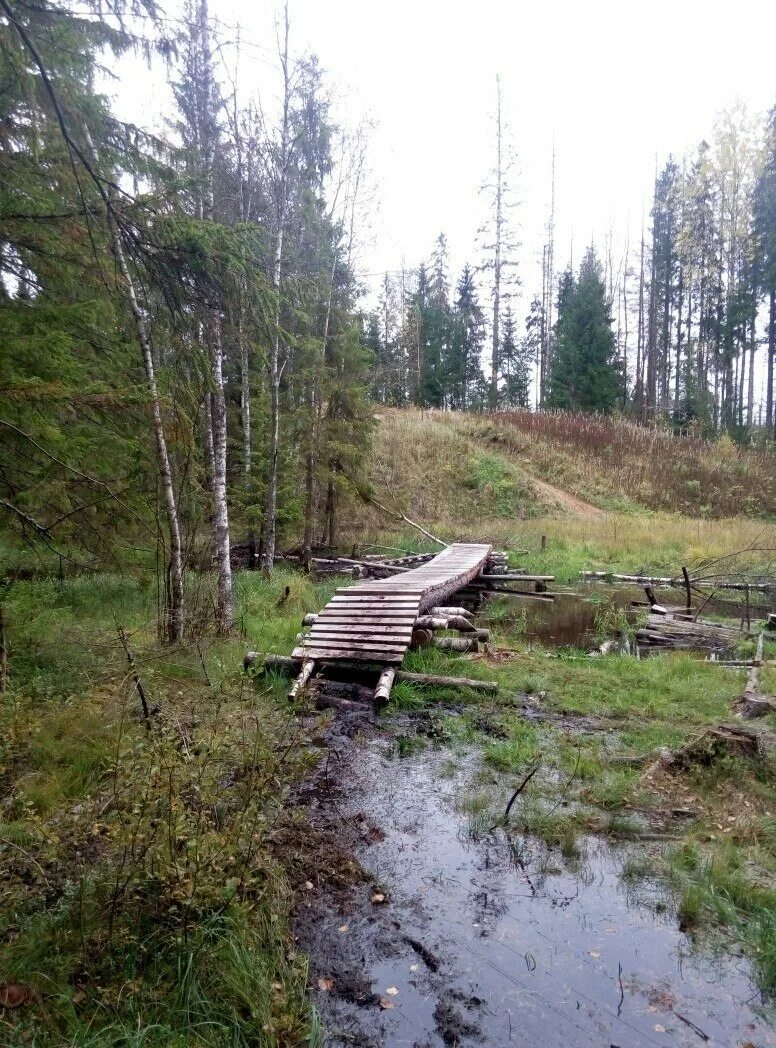 Окрестности сосново. Веломаршрут Сосново отзывы.