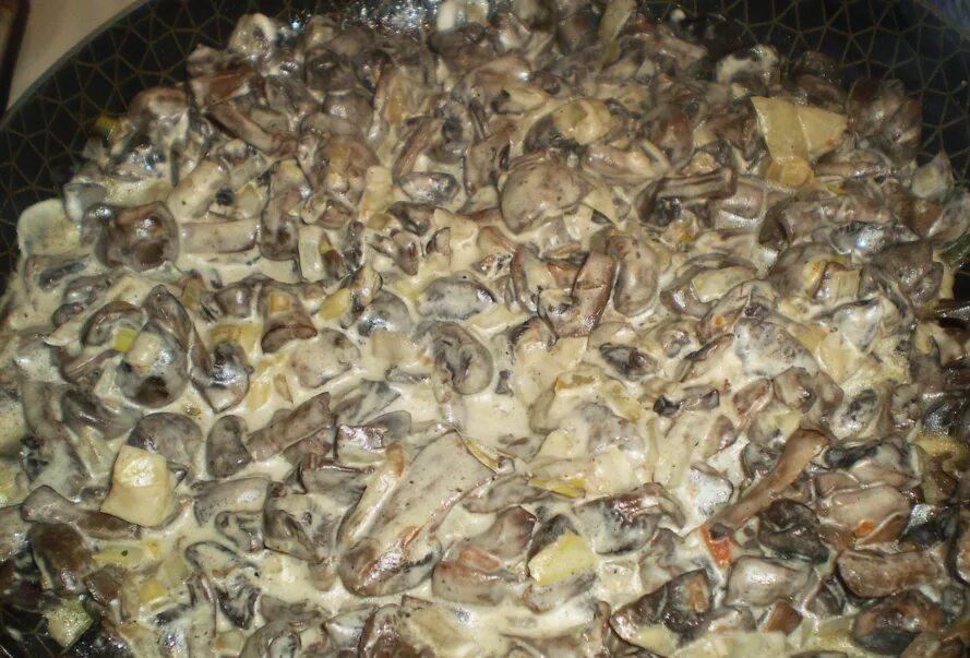 Вешенки приготовить вкусно со сметаной. Грибы вешенки жареные. грибы вешенка жареные. жареные вешенки с луком. жареные грибы вешенки с луком.