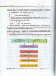 Биология 11 класс пасечник читать