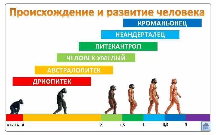помогите пожалуйста люди добрые до завтрашнего дня надо - Есть ответ на shkolene