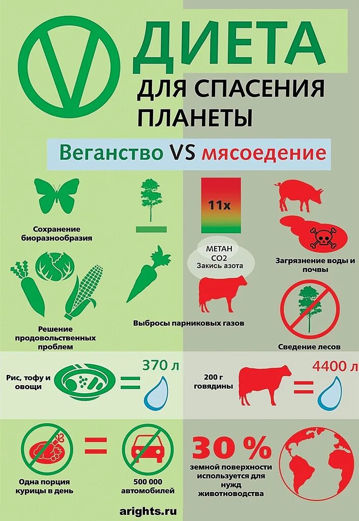 Веган и вегетарианец. Веганство и экология. Вегетарианство экология. Вегетарианство плакаты. Плалакат для вегетарианцев.