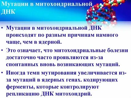 Какая днк в митохондриях