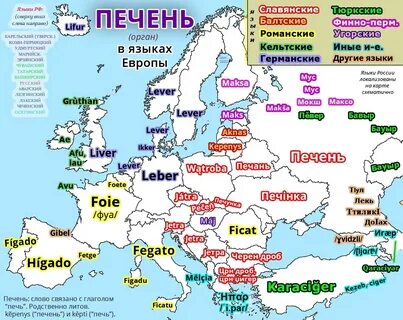 Языки европы