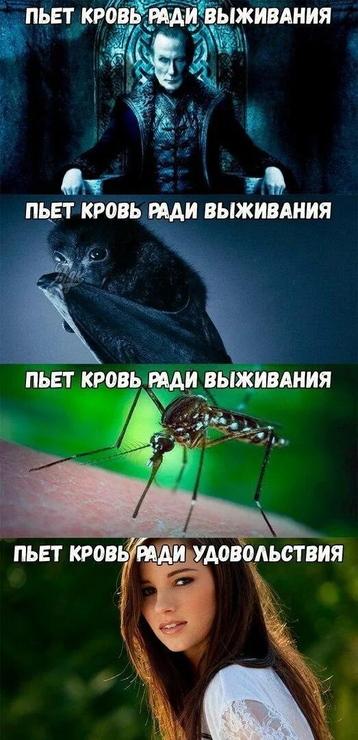 Что пьет ваша девушка. Что пьет ваша девушка мою. Что пьет ваша девушка мою кровь. Выпить или выжить рисунок. Живущие ради удовольствия