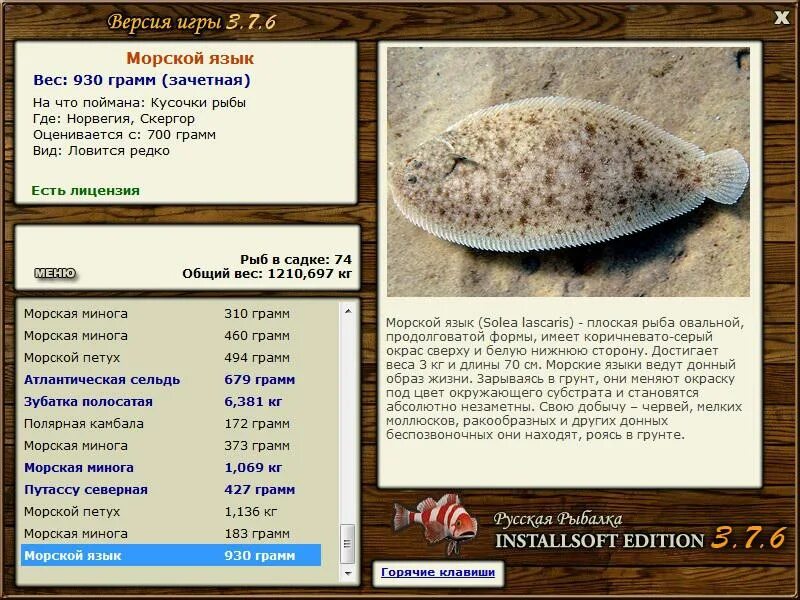 вес большого кита. синий кит вес. строение языка человека сбоку. рыба продолговатой формы. голубой кит.