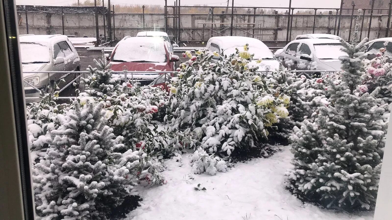 Снегопад в Омске. Обильный снег в Омске. Когда будет снег. Омск под снегом. В омске выпадет снег