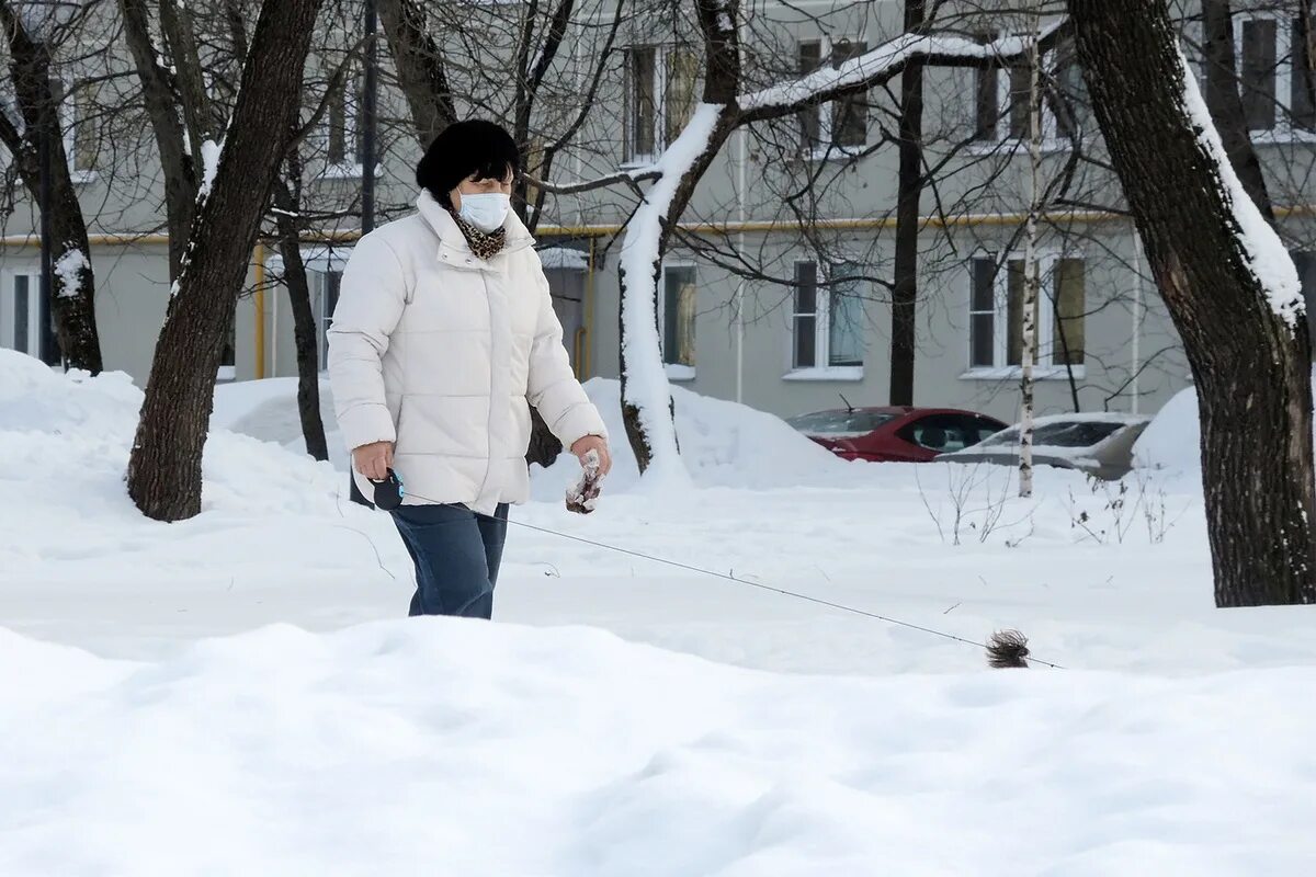 Снег то будет идти. Снег то будет идти
