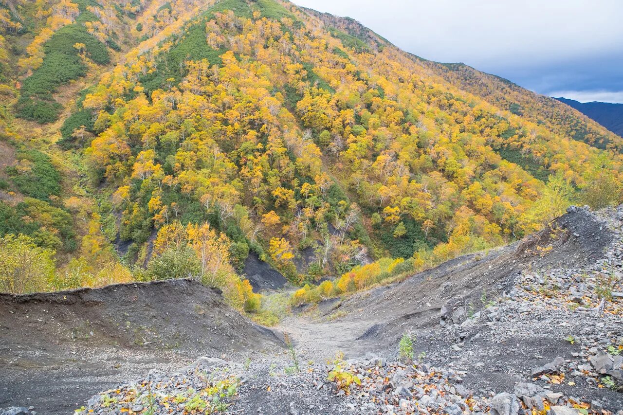 Скалы осыпи. Каменная осыпь. каменная осыпь в горах. искусственные скальные осыпи на склоне берега. осыпи серо белая.