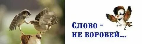 1 не воробей вылетит не поймаешь