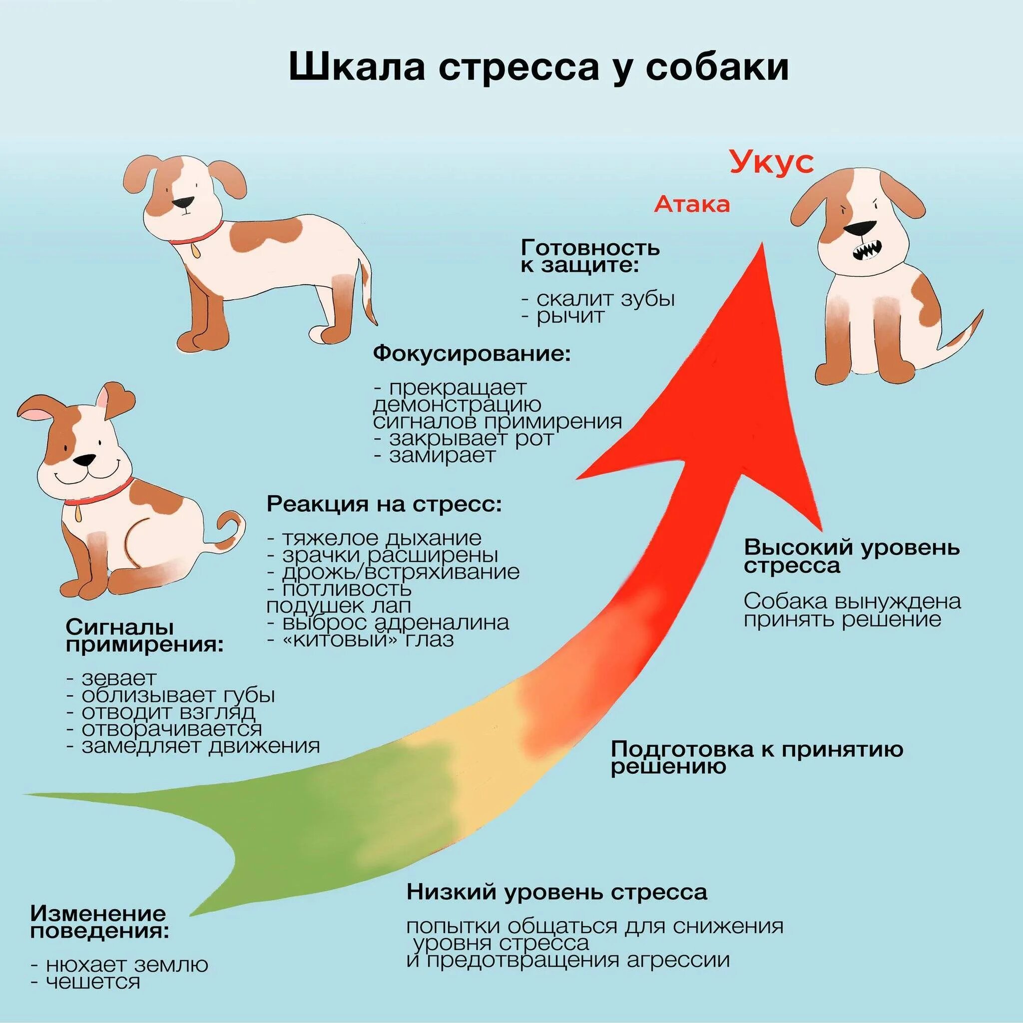 Почему собака чувствует. Сигналы стресса у собак. Сигналы примирения у собак агрессия. Стресс у собаки. Шкала стресса у собак.