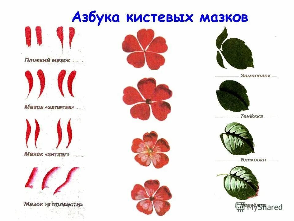 Изображение элементов цветка
