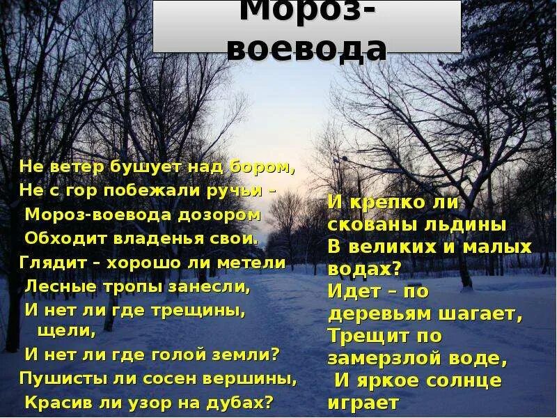 Некрасов не ветер бушует. Стих н Некрасова про Мороза воеводу. Некрасов Мороз Воевода стихотворение. Стихотворение Некрасова Мороз Воевода. Туран где бушуют ветра