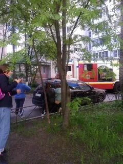 Чп на пискаревском проспекте