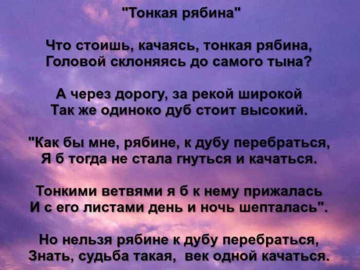 Белые цветы слова песни. Тонкая рябина текст. Что стоишь качаясь тонкая рябина текст. Тонкая рябина текст песни. Слова песни тонкая рябина текст.