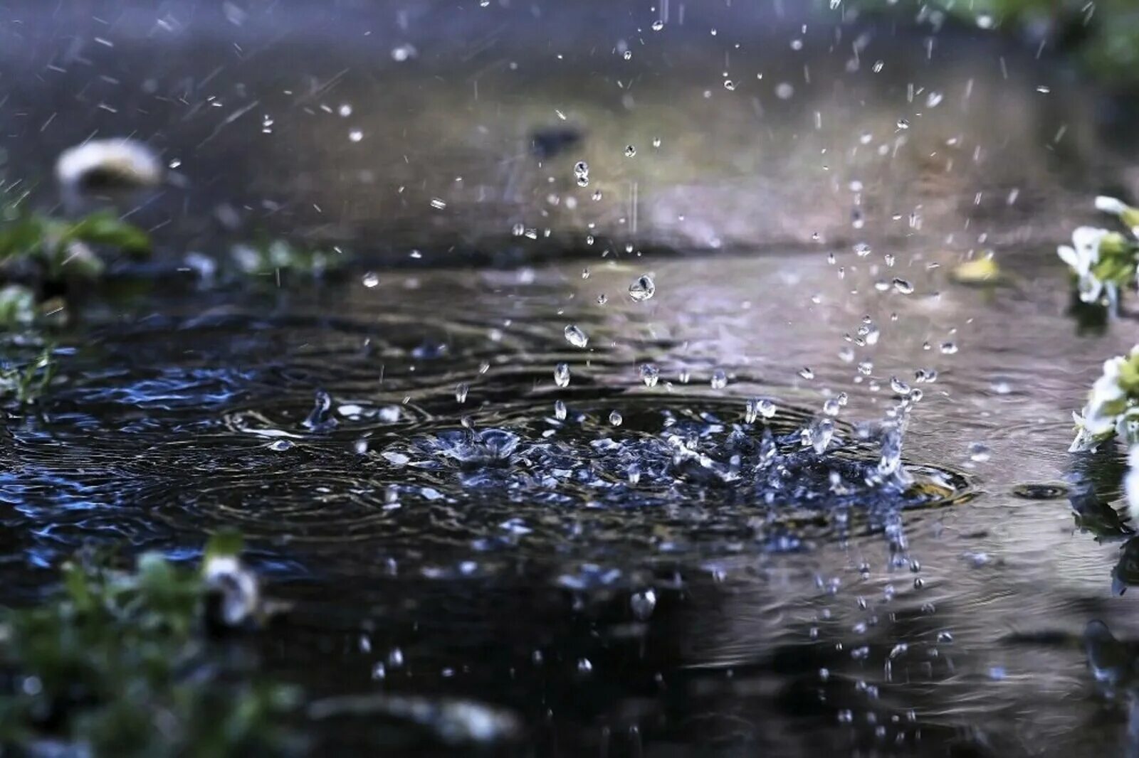 Какая вода в дожде