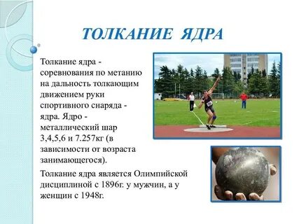 Мужское ядро весит