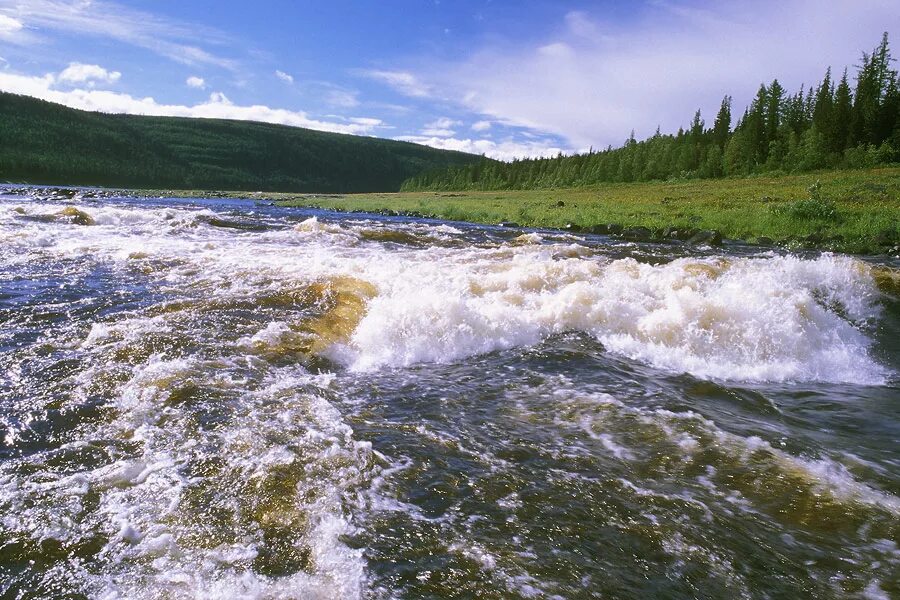 Течение было сильное. Реки России Енисей. Река Ангара Красноярский край. Мойеро река. Река Майгунгна.
