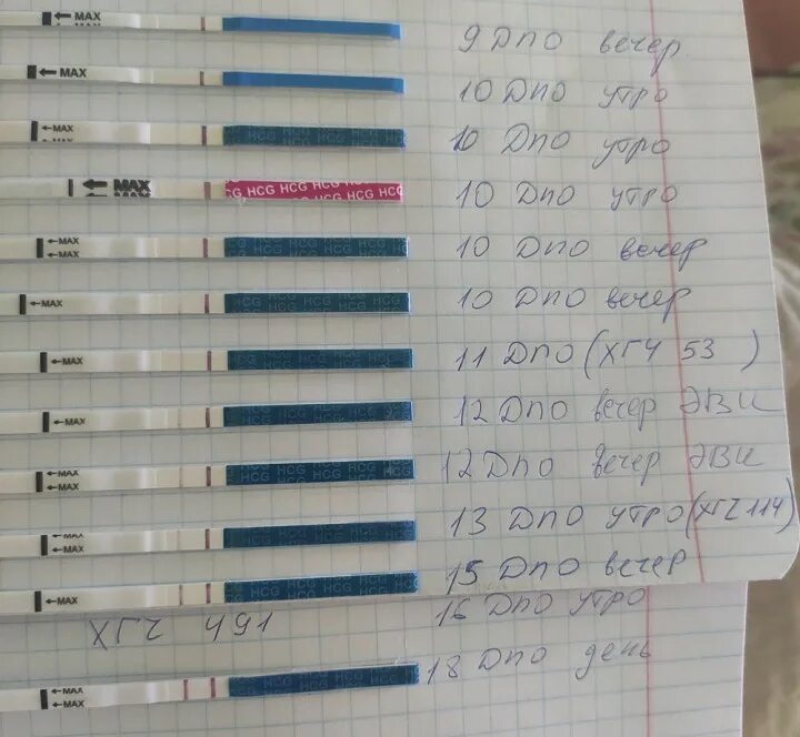Тест показывает положительный а хгч отрицательный. Тест хгч на 10 день после овуляции. 11 дпо тест отрицательный а хгч. хгч 100 тест. хгч на 9 дпо.