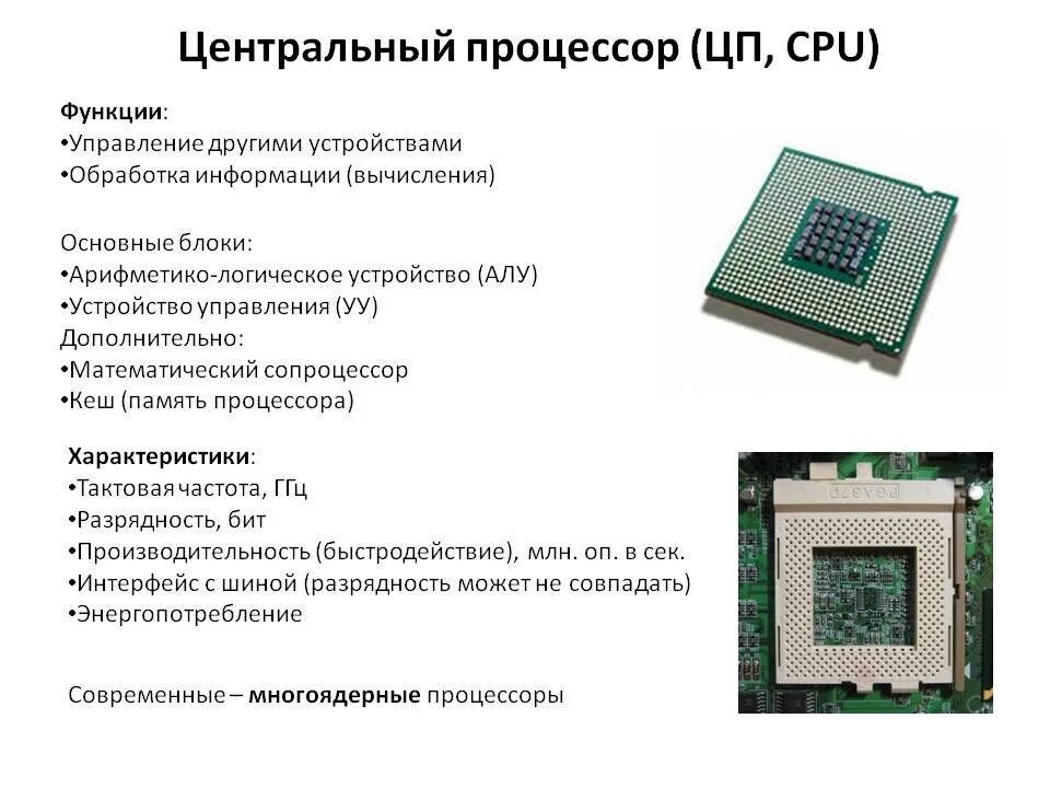 Какие типы процессоров. Процессор вид сбоку. Процессор Назначение характеристики семейство процессоров. Разрядность процессора схема.