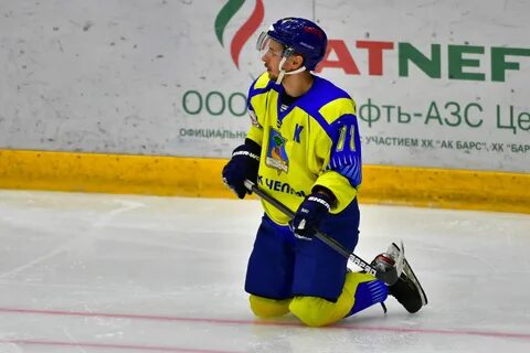 Барс челны