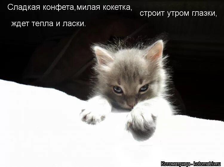 цитаты про завтрак смешные. аист с ребенком ждите скоро буду. скоро родится малыш. ждите ждите сладкий. я жду тебя мем.