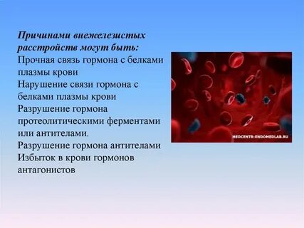 Антитела плазмы