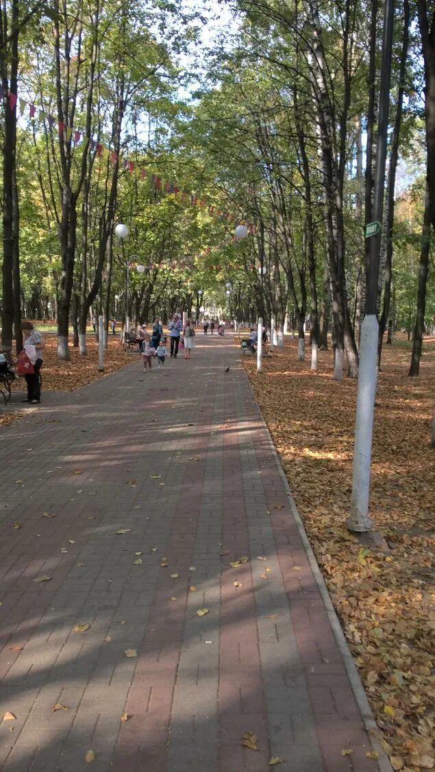 Люберцы парк отдыха наташинские пруды. Наташинский парк отзывы. Люберецкий парк наташинские пруды. Наташинские пруды в люберцах аттракционы. Наташинский парк аттракционы.