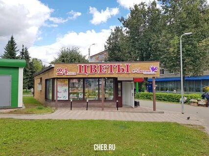 Цветы чебоксары сзр