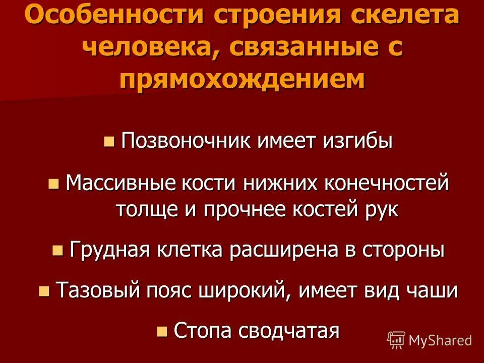 Перечислите особенности скелета