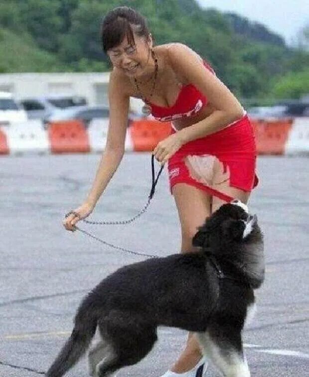 Собаки хотят баб. Животные и женщины. Собака хочет свою хозяйку. Пес хочет девушку. Собаки хотят баб.