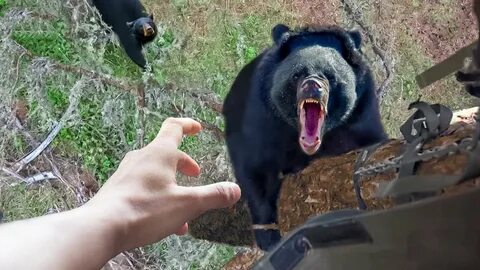 Всякие случаи видео