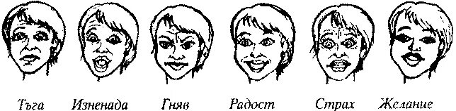 Это было не удивление а страх. Мимика лица рисунки. эмоции радость грусть удивление злость. отвращение эмоция рисунок. страх мимика лица.