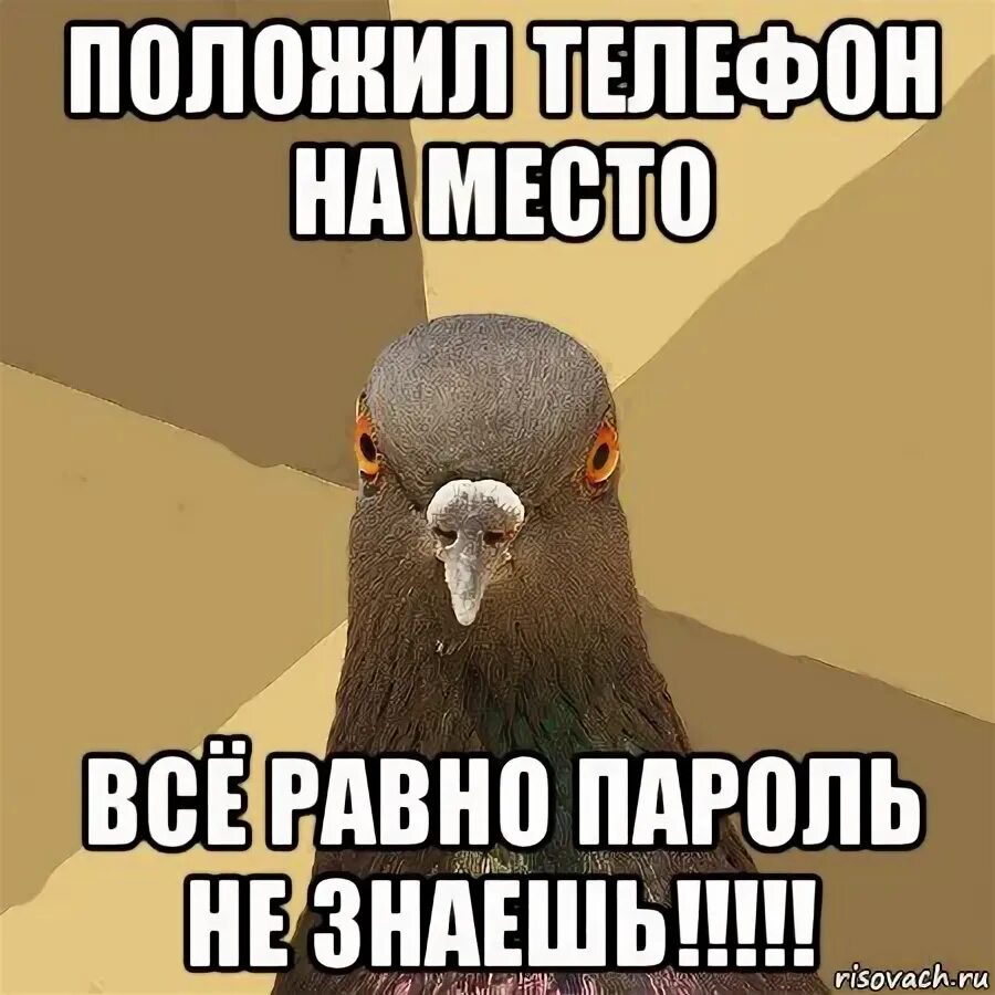 ты все ровно не знаешь пароль положи телефон наместо. не трогтрогй мой телефон. положи телефон на место мем. проложы телефон на место. найди мой телефон быстро.