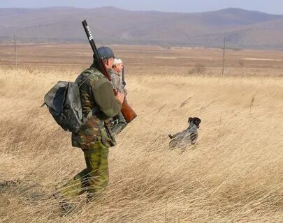 Передача оружия другому лицу на охоте