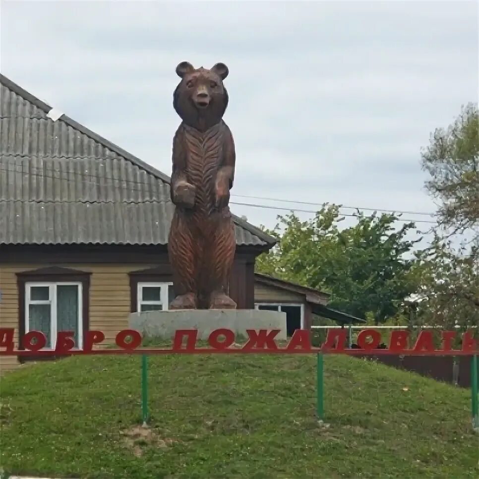 Рошаль мишеронский. Мишеронский. Мишеронская база. База отдыха Мишеронский.