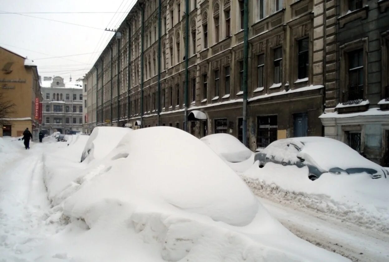 Засыпаны снегом ели. Питер завалило снегом. Снег в Питере. Сугробы в городе. Завалы снега в Санкт-Петербурге.