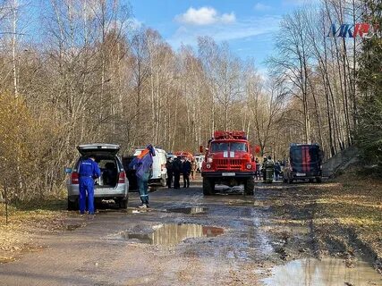 Погода лесной рязанской