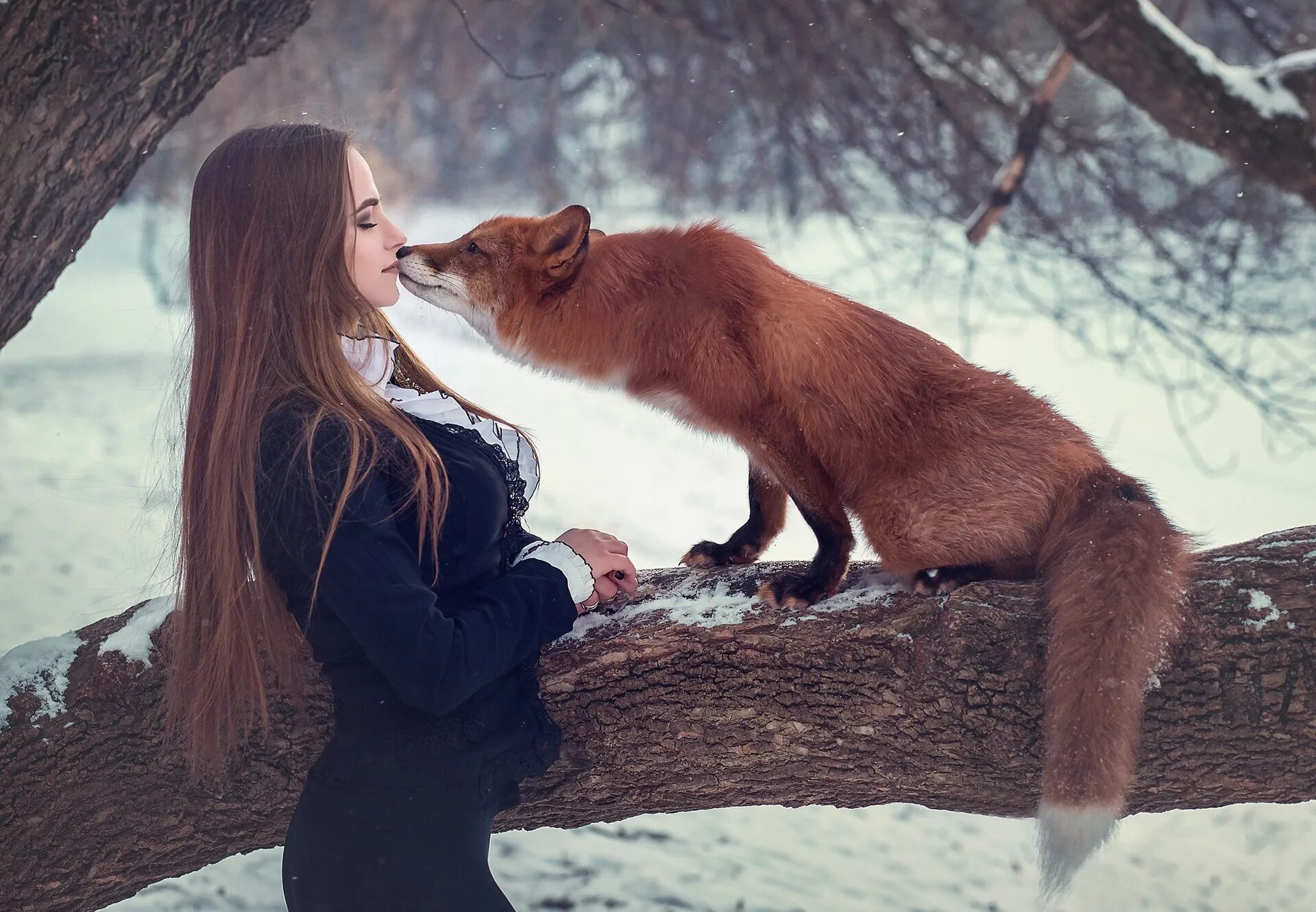 Seduce a fox